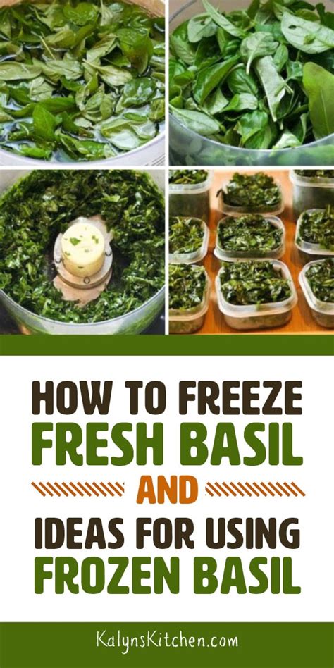 Freezing fresh basil will retain its flavor better than those leaves that undergo blending or air drying. How to Freeze Fresh Basil and Ideas for Using Frozen Basil ...