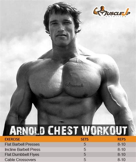Arnold Schwarzeneggers Chest Workout Photo