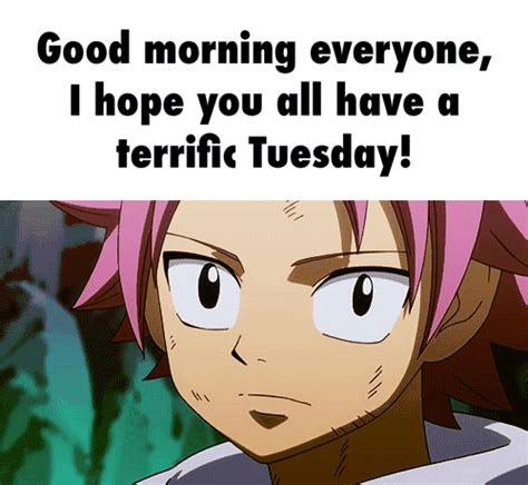 Good Morning Everyone I Hope You All Have A Terrific Tuesday Good