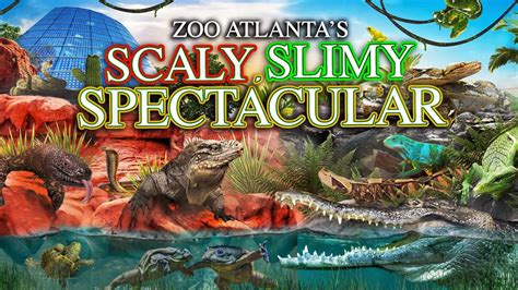 Zoo Tours Scaly Slimy Spectacular Zoo Atlanta Youtube