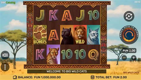 Big Wild Cats Slot Review And Demo Rtp955