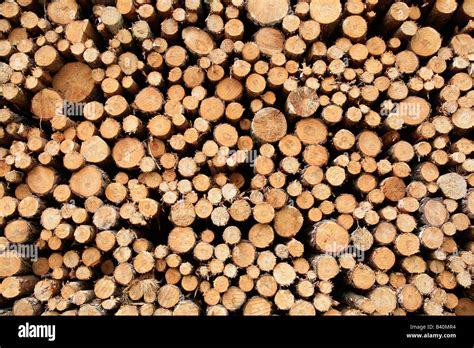 Stack Of Wood Stock Photo Alamy