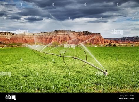 Irrigated Agriculture In Desert Farm In Utah Usa Stock Photo