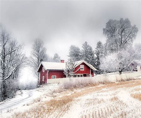 🇳🇴 Winter Ringerike Norway By Jørn Allan Pedersen Jappern On