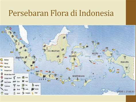 Peta Persebaran Flora Di Indonesia Wikipedia In English Imagesee