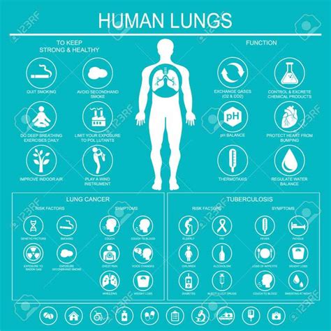 This is known as the process of metastasis. lung cancer its important to report any unusual physical ...