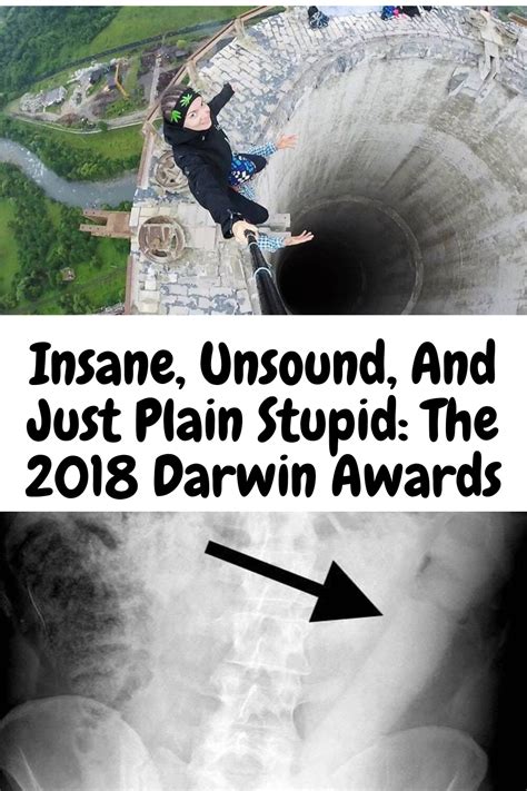 Insane Unsound And Just Plain Stupid The 2018 Darwin Awards Darwin