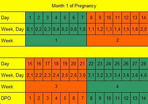 How Long Is Pregnancy Days Weeks Months Trimesters Parenting Patch