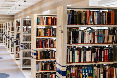 15 Reglas Para Cumplir En Una Biblioteca • Procrastina Fácil