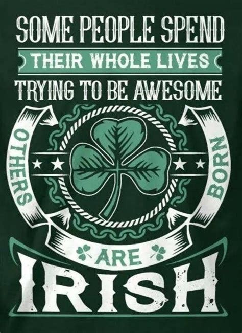 Pin By Kathy Lydon On Irish Pride Quote S Irish Quotes Irish Funny