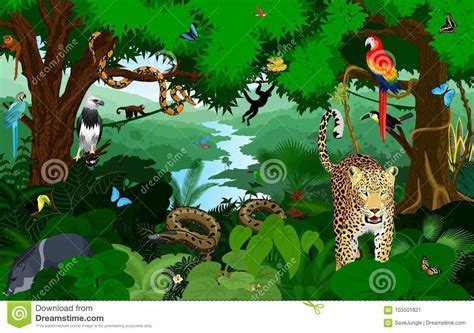 Rainforest With Animals Vector Illustration Vector Green Tropical