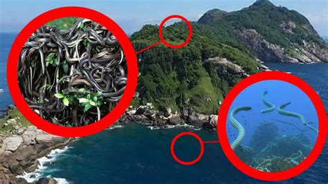 List 10 Strange Weirdest And Most Bizarre Islands On Earth Its
