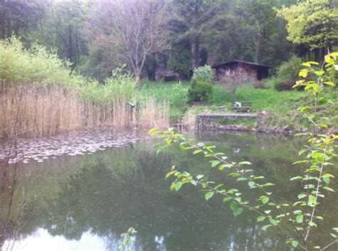 Erhalten sie immer die neuesten angebote. Teiche mit Ferienhaus - See , Teich. Angelteich ...