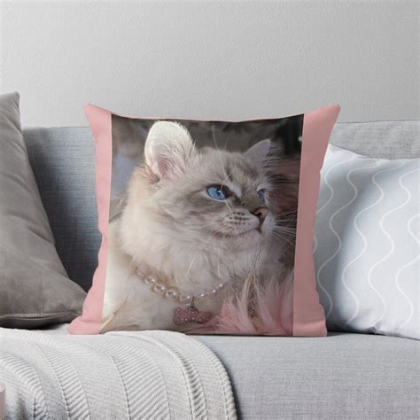 Ragdoll Cat Saoirse Ragdoll Throw Pillow For Sale By Fluffycat2020
