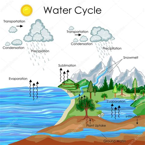 Imágenes Diagramas Del Ciclo Del Agua Educación Gráfico Del Diagrama