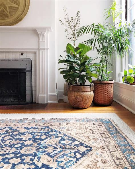Floor And Plants Living Room Decor Neutral Rugs In Living Room