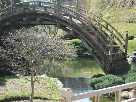 Bridge Over Koi Pond In Japanese Garden Picture Of The Huntington