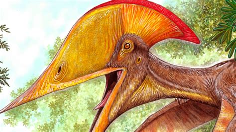 Scientists From China And Brazil Uncover New Species Of Pterosaur Cgtn