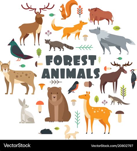 Wild Forest Animals And Birds Arranged In Circle Vector Image