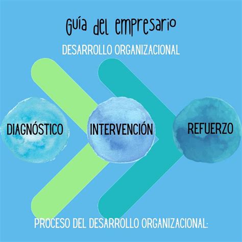 Desarrollo Organizacional Qué Es Ejemplos 【 2023