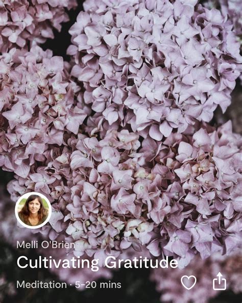 Cultivating Gratitude With Melli Obrien Available Next Week In The