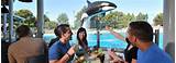 San Diego And Seaworld Packages Photos