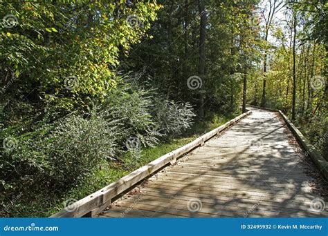 Boardwalk Over Wetlands Stock Photography Image 32495932
