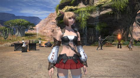 Final Fantasy Xiv A Realm Reborn The Right Kind Of Launch Disaster Gamer Horizon