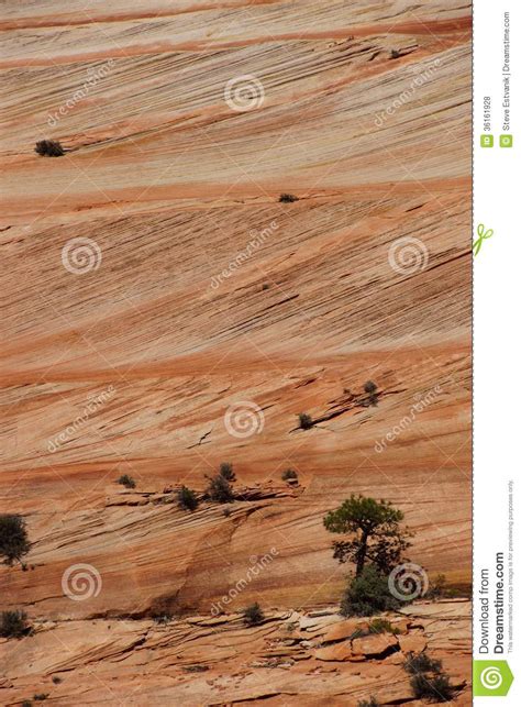 Detail Cross Current Layers Of Red Sandstone Stock Photo Image Of