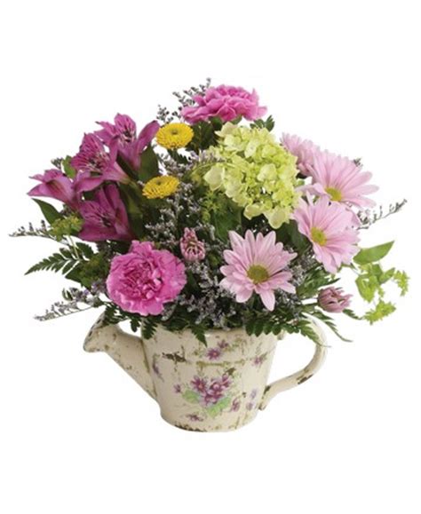 Nice back yard any questions please qsk. Home | Royer's flowers and gifts - Flowers, Plants and ...
