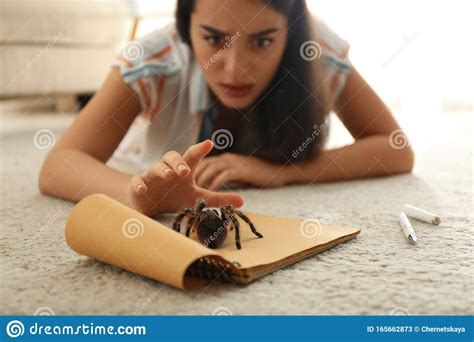 Young Woman And Tarantula Arachnophobia Fear Of Spiders Stock Image
