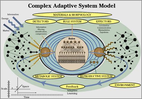 Visual Visualizing Complex Systems Science — New England Complex