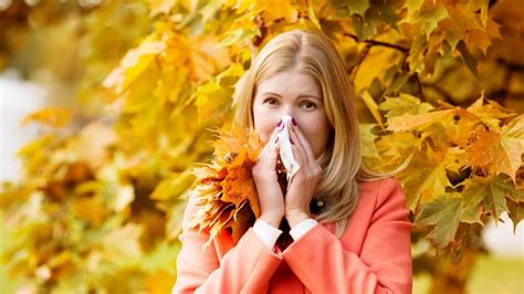 Autumn Allergies All The Tips To Avoid Them Equality Mag