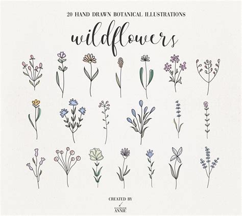 Wildflower Svg Clipart Bundle Botanical Png Clipart Summer Etsy Canada