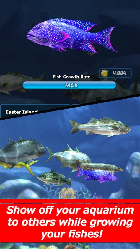 Ace Fishing Wild Catch Makes Fishing Look Easy Androidshock