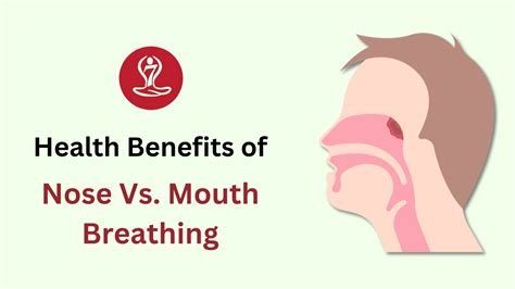 Comparing Health Benefits Of Nose Vs Mouth Breathing Problogs