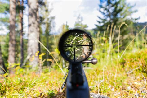 7 Tips For Long Range Shooting