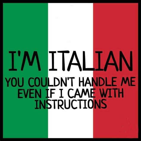 Even If I Came With Instruction Italian Quotes Italian Humor