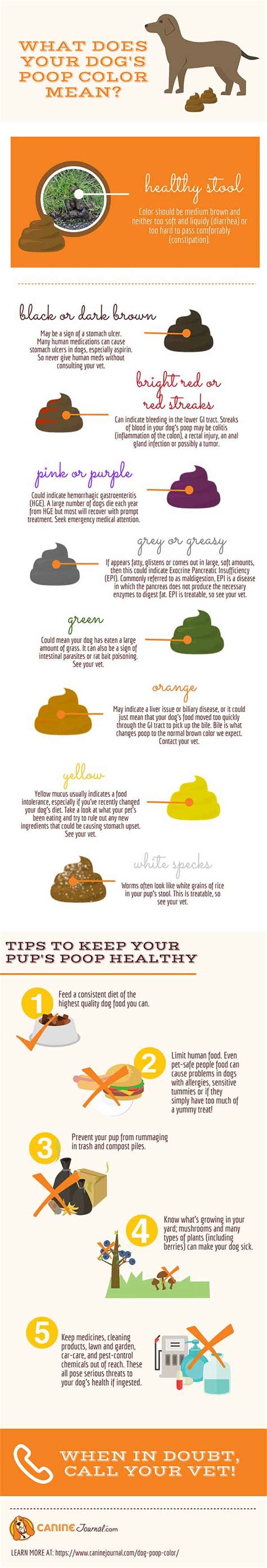 What Dog Poop Colors Mean The Meaning Of Color