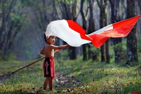 Bendera Merah Putih Anak Kecil Membawa Bendera Sawitpluscom