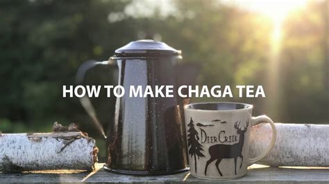 How long can you store chaga tea? How To Make Chaga Tea - YouTube