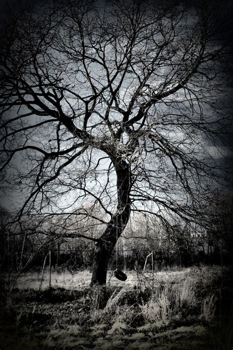 Sad Tree By Wilhelmbielawa On Deviantart