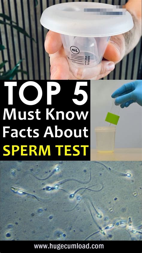 Pin On How To Increase Sperm Volume