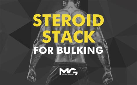 Best Steroid Stack For Bulking Reviews And Results Of Steroid Cycle