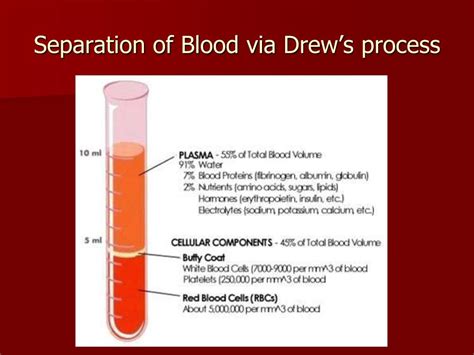 Ppt The Bloody Facts Powerpoint Presentation Free Download Id6955848