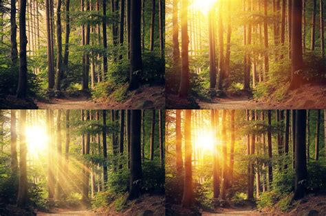 Realistic Sun Light Photoshop Overlays And Action Free Download