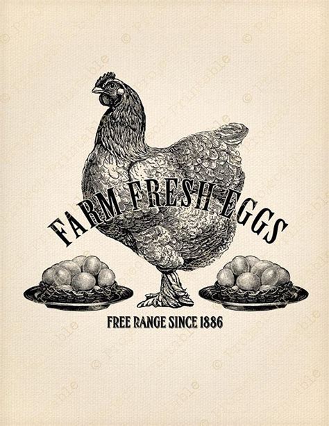 Farm Fresh Eggs Sign Instant Download Printable Vintage Art And Craft
