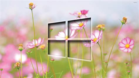 46 2560x1440 Wallpaper Windows 10 Wallpapersafari