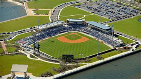 About Blue Wahoos