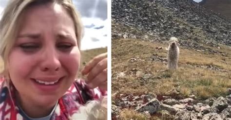 Woman Has Tearful Reunion With Dog Missing For 19 Days In The Wilderness